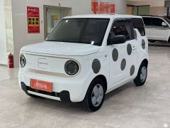 Geely Panda Mini 200km Endurance Edition - ფოტო 1