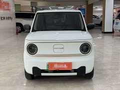Geely Panda Mini 200km Endurance Edition - ფოტო 2