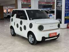 Geely Panda Mini 200km Endurance Edition - ფოტო 3