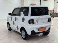 Geely Panda Mini 200km Endurance Edition - ფოტო 4