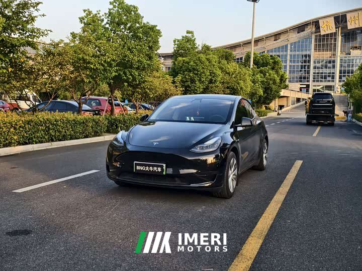 Tesla Model Y 2022 Facelift Rear-Wheel Drive - ავტომობილი ჩინეთიდან