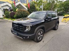 Great Wall Dachshund 2022 1.5T DCT Two-Wheel Drive Labrador Edition - ფოტო 1