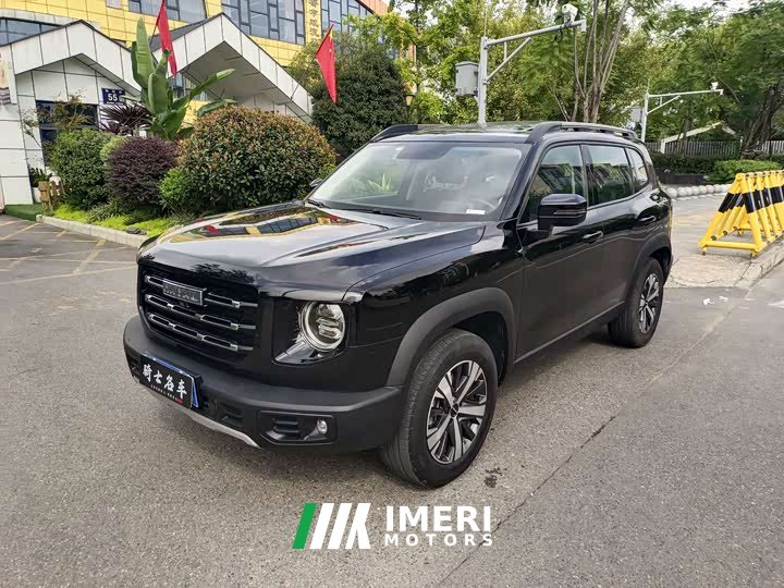Great Wall Dachshund 1.5T DCT Two-Wheel Drive Labrador Edition