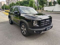 Great Wall Dachshund 2022 1.5T DCT Two-Wheel Drive Labrador Edition - ფოტო 3