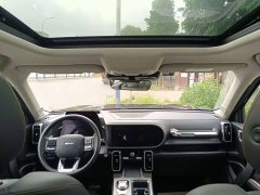 Great Wall Dachshund 2022 1.5T DCT Two-Wheel Drive Labrador Edition - ფოტო 8