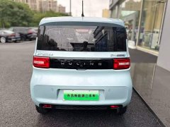 BMW Hongguang MINIEV 2020 Deluxe Edition LFP Battery - ფოტო 12