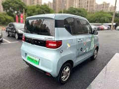 BMW Hongguang MINIEV 2020 Deluxe Edition LFP Battery - ფოტო 2