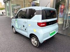 BMW Hongguang MINIEV 2020 Deluxe Edition LFP Battery - ფოტო 3