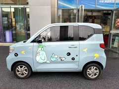 BMW Hongguang MINIEV 2020 Deluxe Edition LFP Battery - ფოტო 4