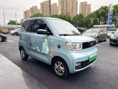 BMW Hongguang MINIEV 2020 Deluxe Edition LFP Battery - ფოტო 6