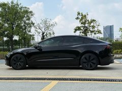 Tesla Model 3 Rear-Wheel Drive - ფოტო 15
