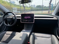 Tesla Model 3 Rear-Wheel Drive - ფოტო 6