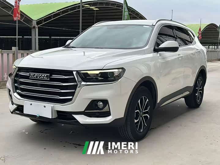 Haval H6 2021 National Trend Edition 1.5T Automatic Urban Version - ავტომობილი ჩინეთიდან
