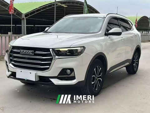 2023 Haval H6 2021 National Trend Edition 1.5T Automatic Urban Version - ავტომობილი ჩინეთიდან