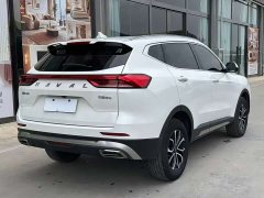 Haval H6 2021 National Trend Edition 1.5T Automatic Urban Version - ფოტო 6