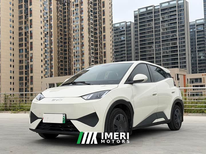 BYD Seagull Smart Drive 305km Vitality Edition