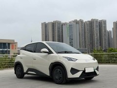 BYD Seagull 2025 Smart Drive 305km Vitality Edition - ფოტო 3