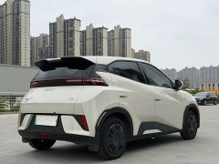 BYD Seagull 2025 Smart Drive 305km Vitality Edition - ფოტო 4