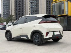 BYD Seagull 2025 Smart Drive 305km Vitality Edition - ფოტო 7