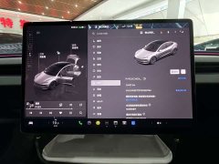 Tesla Model 3 Rear-Wheel Drive - ფოტო 7