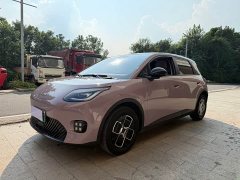 GAC AION UT 330 Star Radiance Edition - ფოტო 1
