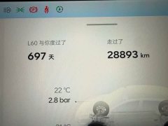 Nio Lerado L60 60kWh Rear-Wheel Drive - ფოტო 10