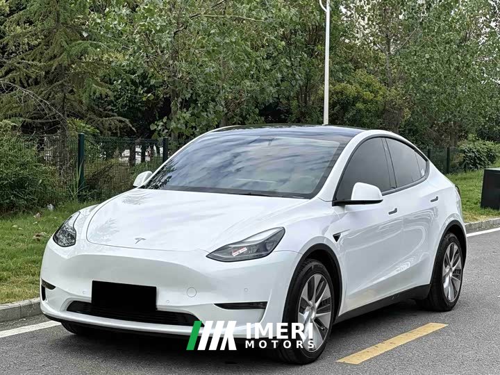 Tesla Model Y Standard Range RWD - ავტომობილი ჩინეთიდან