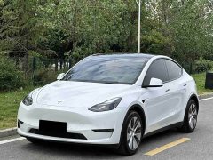 Tesla Model Y Standard Range RWD - ფოტო 1