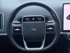 Li Auto L9 2022 Max - ფოტო 17