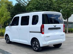 Wuling Zhiguang New Energy 201km Comfort - ფოტო 9