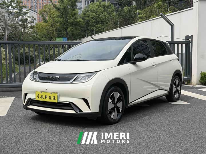 BYD Dolphin 420km Fashion Edition - ავტომობილი ჩინეთიდან