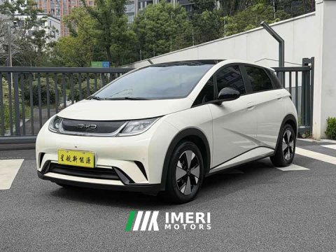 2023 BYD Dolphin 420km Fashion Edition - ავტომობილი ჩინეთიდან