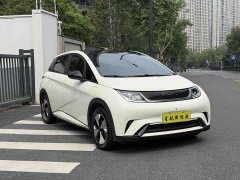 BYD Dolphin 420km Fashion Edition - ფოტო 3