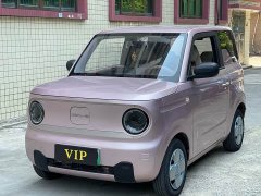 Geely Panda Mini 200km Endurance Edition - ფოტო 1