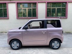 Geely Panda Mini 200km Endurance Edition - ფოტო 14
