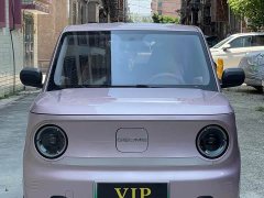 Geely Panda Mini 200km Endurance Edition - ფოტო 2