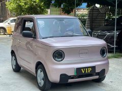 Geely Panda Mini 200km Endurance Edition - ფოტო 3