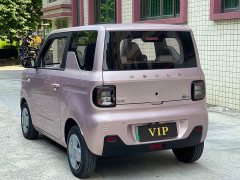 Geely Panda Mini 200km Endurance Edition - ფოტო 9