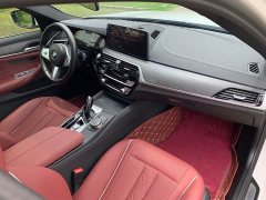 BMW 5 Series Facelift 530Li Premier M Sport Package - ფოტო 11