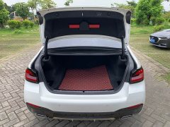 BMW 5 Series Facelift 530Li Premier M Sport Package - ფოტო 15