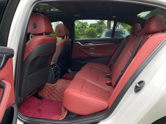 BMW 5 Series Facelift 530Li Premier M Sport Package - ფოტო 9