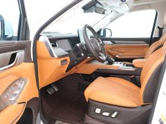 Tank 500 2022 3.0T Sport Landscape Edition 5-Seater - ფოტო 5