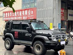 Tank 300 Off-Road Edition 2.0T Conqueror - ფოტო 3