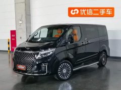 Ford Saint Peak 2.0T Grand Winner - ფოტო 1