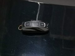 Ford Saint Peak 2.0T Grand Winner - ფოტო 11
