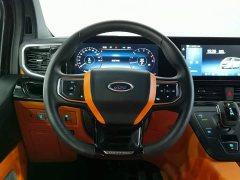 Ford Saint Peak 2.0T Grand Winner - ფოტო 14