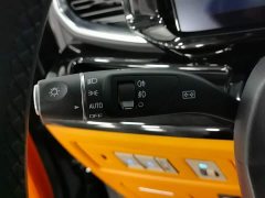 Ford Saint Peak 2.0T Grand Winner - ფოტო 20
