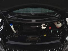 Ford Saint Peak 2.0T Grand Winner - ფოტო 7
