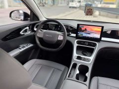 Geely Starwish 410km Freedom Edition - ფოტო 8