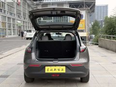 Geely Starwish 410km Freedom Edition - ფოტო 9